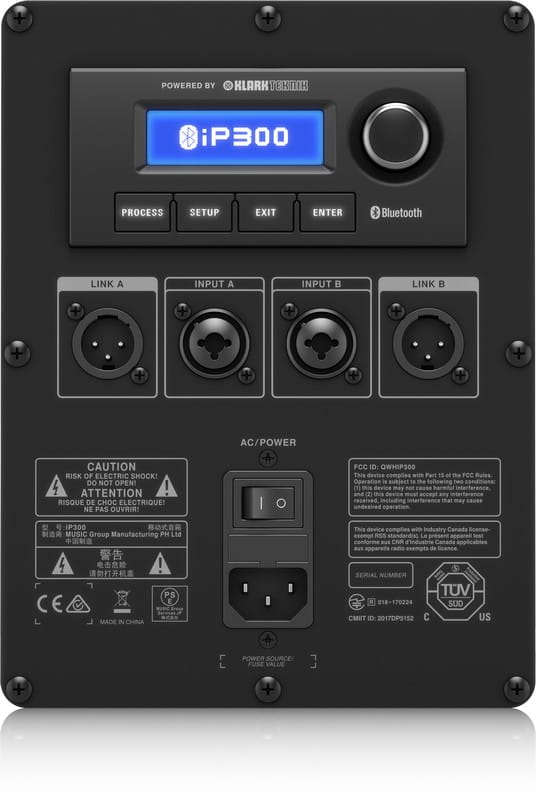 Turbosound IP300